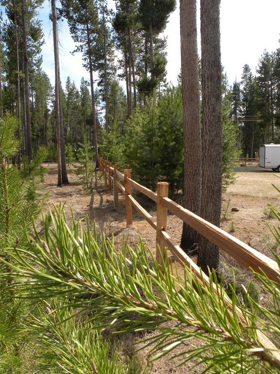 Cozy Cabin Lapine Ла Пайн Екстериор снимка